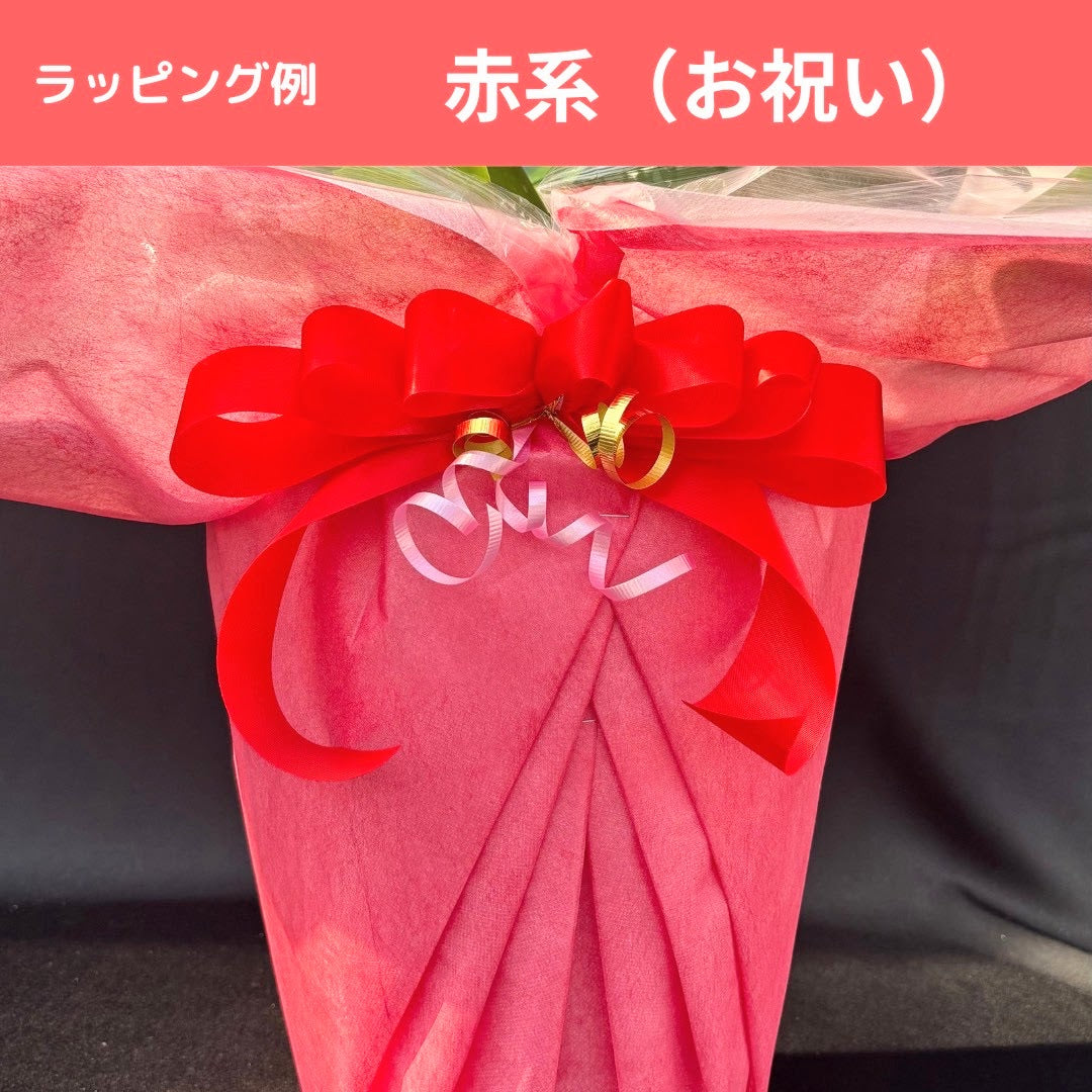 ラッピング例 赤系(お祝い)