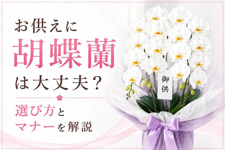 お供えに胡蝶蘭は大丈夫？選び方とマナーを解説