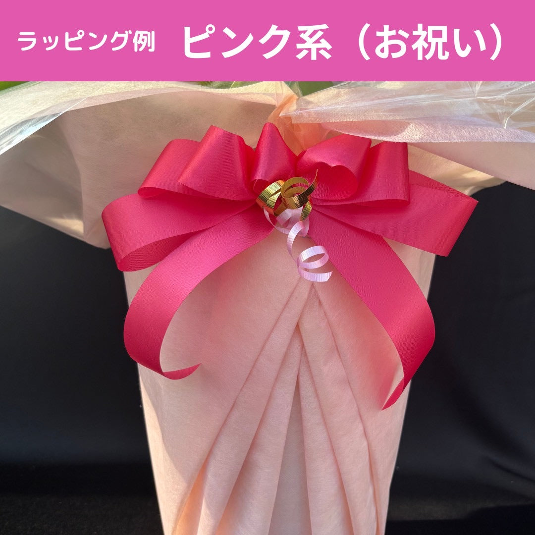 胡蝶蘭(湖衣姫） 大輪 濃ピンク 3本立 39輪以上 ラッピング付／立札選択