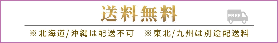 送料無料