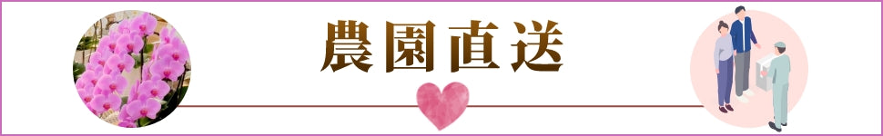 農園直送